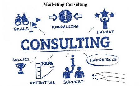 Consultants delivering digital marketing and consulting strategy workshop in Gurgaon office